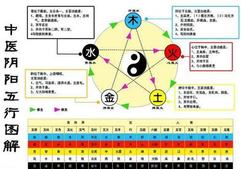 水生金|五行